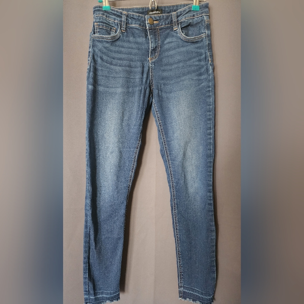 Prosperity Jeans, Women's Size 29 Waist Prosperity Denim Blue Jeans